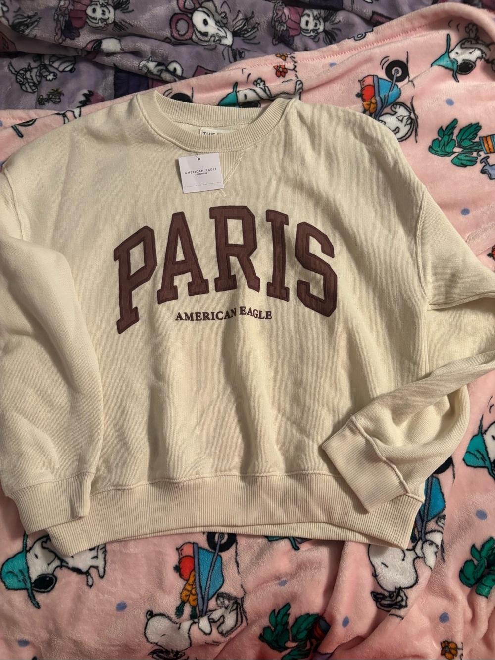 American Eagle Outfitters Cream Crewneck Sweatshirt with Brown 'PARIS' Logo